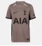 Tottenham Hotspur Brennan Johnson #22 Tredjedrakt 2023-24 Kortermet